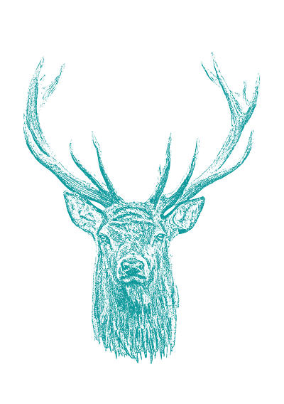 Vintage deer logo deer design logodesign vector vintage logo