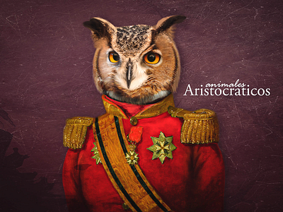 Owl design fotomontaje graphic design photomontage photoshop photoshop editing