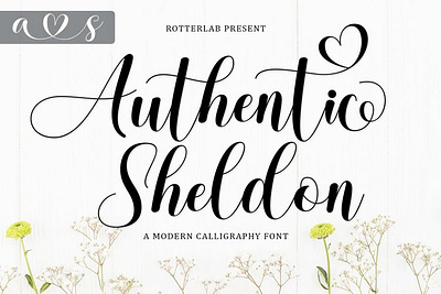 Authentic Sheldon branding calligraphy font girls illustration lettering lovely modern modern design script script font