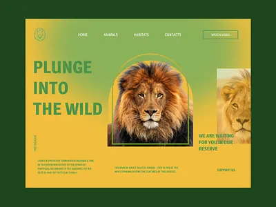 Lviv park - Website Concept