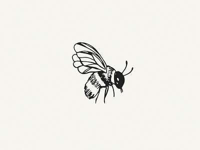 Hive & Hoof Bee Illustration branding design illustration logo