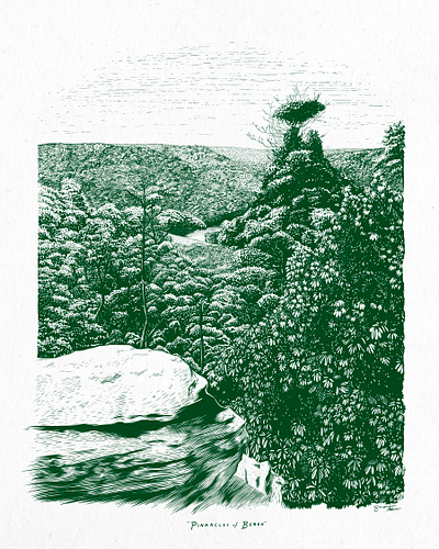 Pinnacles of Berea digital engraving forest hiking illustration overlook trees woodcut