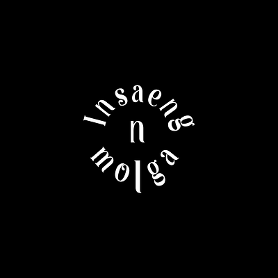 Insaengn molga brandbook branding design flat graphic design illustration illustrator logo nostalgic vector