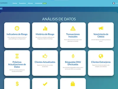 Antiblanqueo: Data Analysis Option Display aml software antiblanqueo reports saas software ui ui ux uiux uiux design web app web design