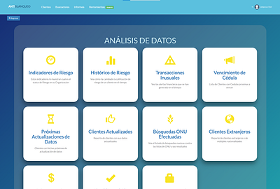 Antiblanqueo: Data Analysis Option Display aml software antiblanqueo reports saas software ui ui ux uiux uiux design web app web design