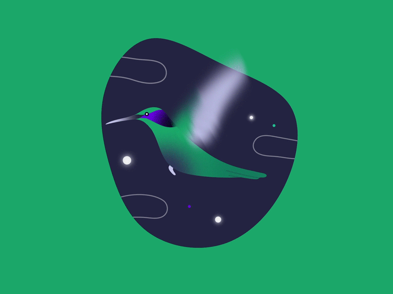 Bird gif — new portfolio update 🌿 animal animation bird bird illustration branding character design system fast fintech flight fly gif illo illustration illustration system loop motion motion graphics transaction ui