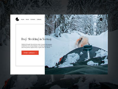 Dog Sledding branding design dog landing landingpage logo sledding ui uiux ux web website