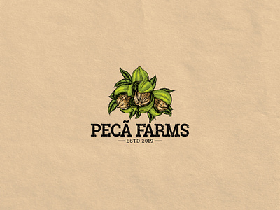 Vintage Pecan Farms logo illustration agricultural agriculture agriculture logo artisan artistic logo classic custom type farms green growth hand drawn illustration logo logo design vector vintage vintage design vintage illustration vintage logo watercolor