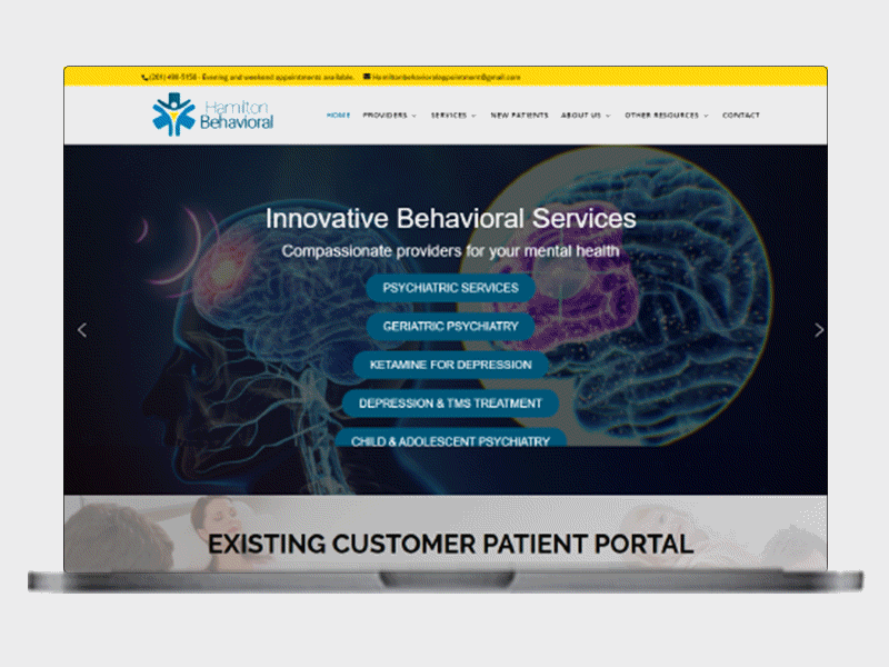 Hamilton Behavioral web web design website website concept website development wordpress wordpress development