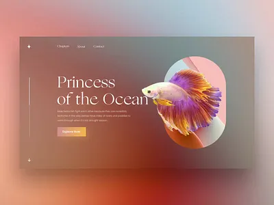 Siamese fighting fish Story abstract animal animation concept design fish fishes layout ocean product siamese story ui uxui visual website