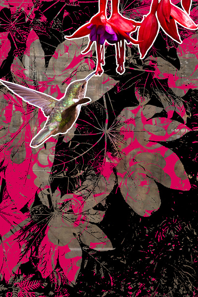 In The Moment bird photograph pink red vector vector art