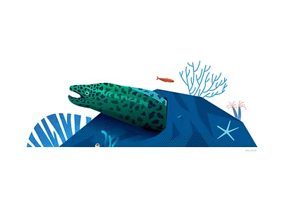 Eel eel illustration ocean reef starfish underwater