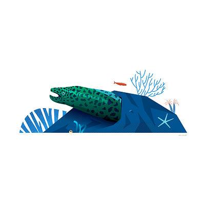 Eel eel illustration ocean reef starfish underwater