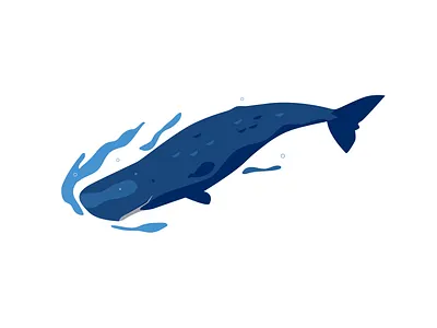 Sperm Whale diving marine ocean sperm whale swimming underwater whale