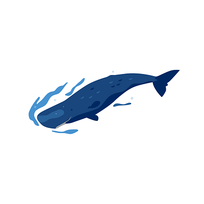 Sperm Whale diving marine ocean sperm whale swimming underwater whale