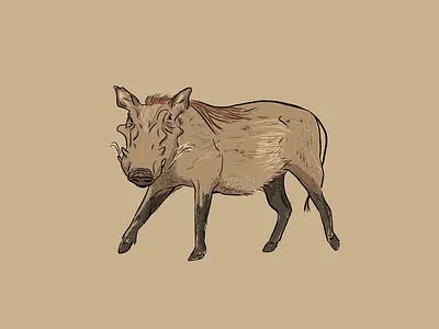 Warthog illustration procreate warthog