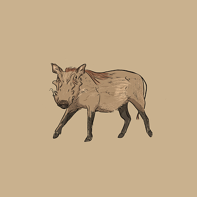 Warthog illustration procreate warthog