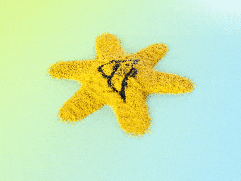 Grainy Seastar 3d cg entagma grains houdini mograph redshift redshift3d seastar starfish vellum