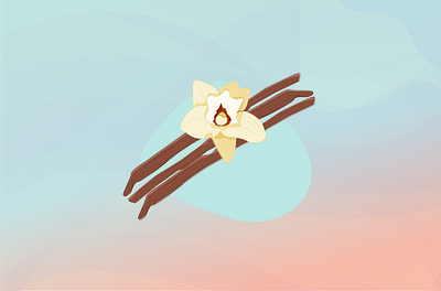 vanilla illustration design illustration vector