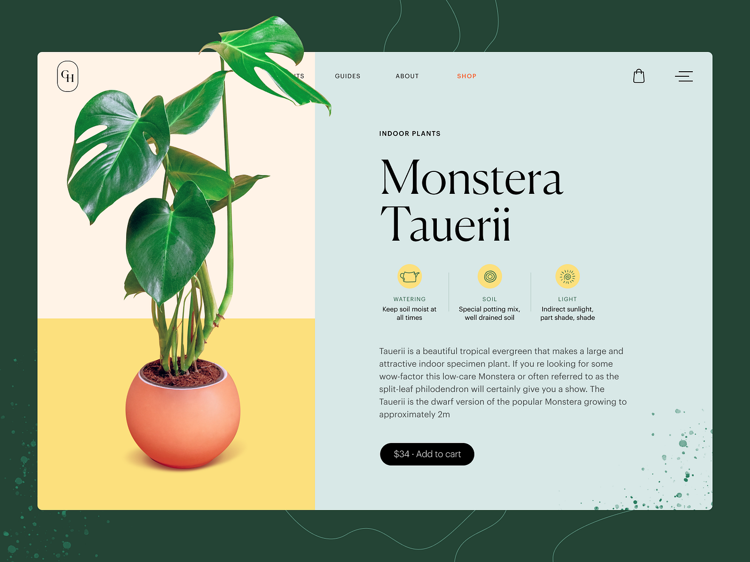 Plant Shop Product Page by tubik on Dribbble