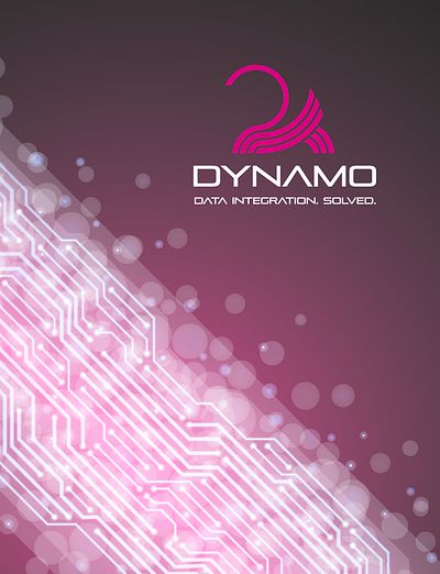 Dynamo - The Real Data Integration System branding design graphic design illustration logo ui web design