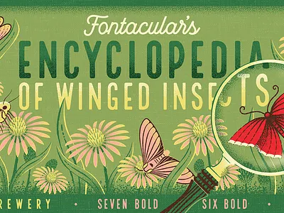 Fontacular | Fairytale Field Guide bugs butterfly dragonfly encyclopedia fairytale field guide identification insect moth retro vintage