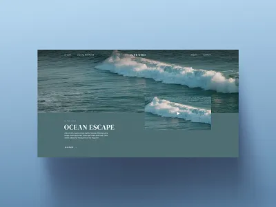 Interactive website — Webflow design inteface interactive design ocean ui web design webflow website