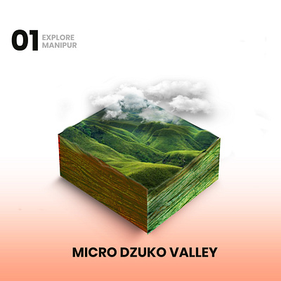 micro world concepts dzukovalley dzukovalley graphic design interactivedesign microworld