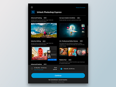 Subscription Experience for PsX on iPad adobe contextual interaction interaction design photoshop premium psx subscription ui ux