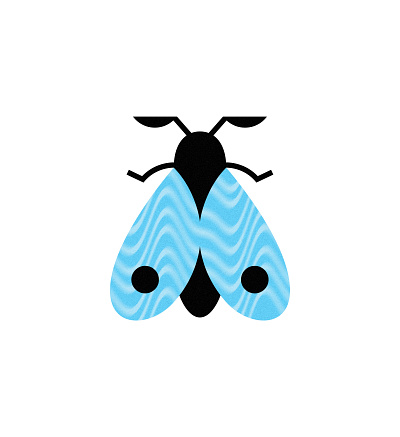 blue moth blue butterfly flat illustration illustration insect minimal moth nature vector