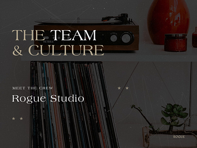 Rogue Team Profiles about us branding branding agency branding design culture design digital design graphic design product design rogue studio rogue team team page team profiles typography ui ux web website