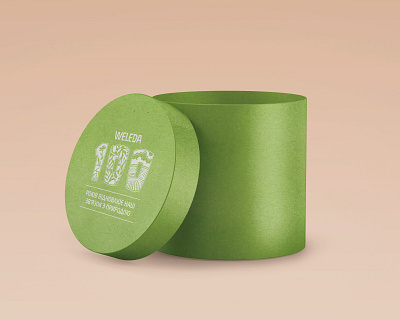 Weledarounded box box box design branding cardboard box design illustration package design packaging presentation design