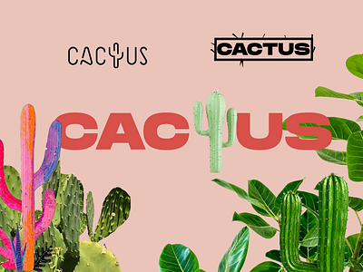 CACTUS Logo preview app art branding cactus design graphic design illustrator logo minimal typography