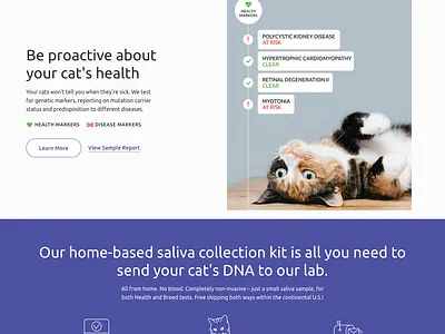 Shopify Web Design & Customization design ecommerce responsive design ui ux web design web development