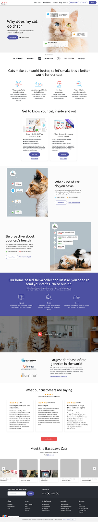 Shopify Web Design & Customization design ecommerce responsive design ui ux web design web development