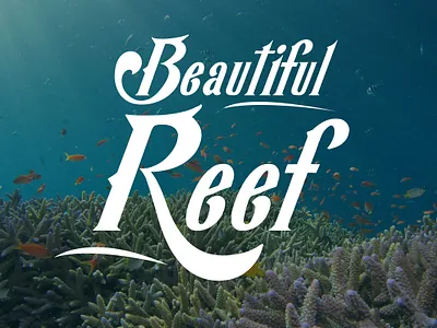 Reef - Kekfish Display Font branding design fish fish logo fisherman font font awesome font design font family fonts illustration logo sea seafood seafood restaurant typography