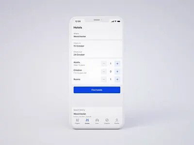 Radario — Hotel search adventure airlines animation car rental flight flight booking hotels journey mobile motion product design travel