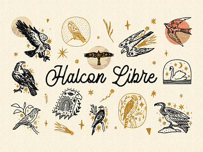 Halcon Libre Bundle aesthetics antique bird birds bohemian boho chevron distressed engraving label logo magical original print retro rustic stamp symbols vintage wild