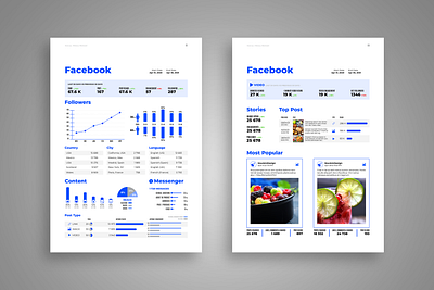 Social Media Report facebook post facebook report illustrator template social media design social media report social media templates