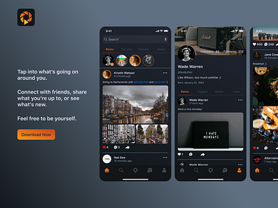 Social Network App for IOS design figma ios ios app design logo social network ui ux