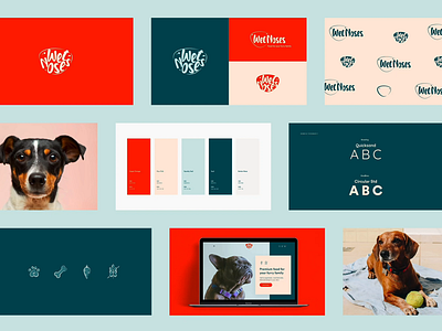 Wet Noses - Brand Identity berlin brand identity branding doggies dogs ella glover design freelance logo melbourne new zealand pet food styleguide ui web design wet noses