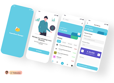 Expenditure Manager app design mobile app mobile app design mobile design mobile ui ui ui design uidesign