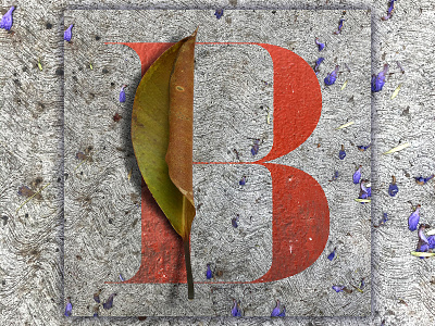 B - 36 Days of Type 36daysoftype adobe alphabet design graphic design illustrator mexico mexico city photography photoshop type typedesign typeface