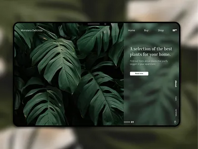 Monstera Webdesign design figma glass effect interface minimal monstera monstera deliciosa plants ui uiux ux web