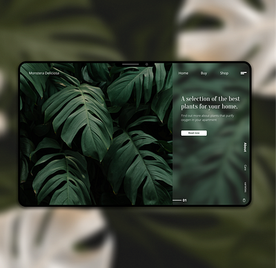 Monstera Webdesign design figma glass effect interface minimal monstera monstera deliciosa plants ui uiux ux web