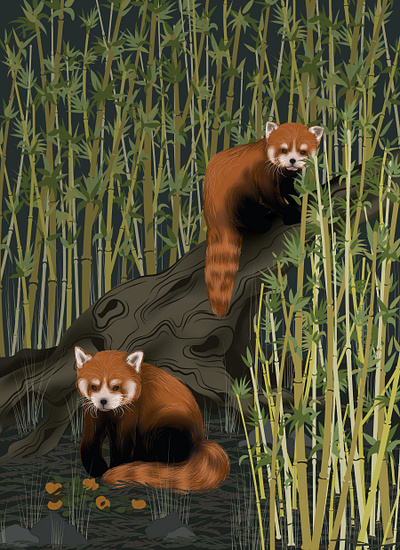 Red pandas in a bamboo forest asian digital illustration forest graphic art illustration nature art nature illustration oriental peaches red panda wildlife