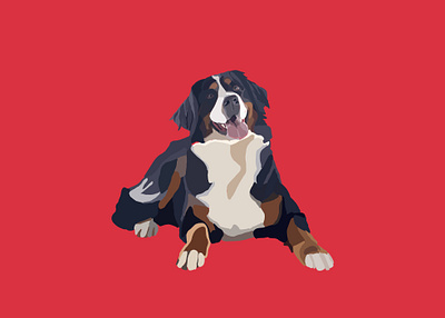 Bernese Mountain Dog adobe fresco adobe illustrator design dog dog illustration drawing illustration