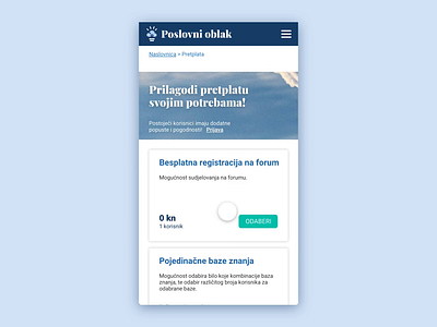 Accounting mobile website accounting design mobile ui mobile web purchase shopping shopping bag shopping cart subscription subscriptions ui ui design uidesign uiux ux