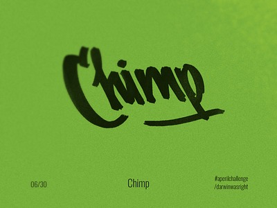 Chimp #aperilchallenge 06/30 ape bonobo caligraphy chimp creative logo cute face gorilla hello dribble invite giveaway lettering letters marker sketch monkey simple smart logo smile леттерінг мавпа шимпанзе