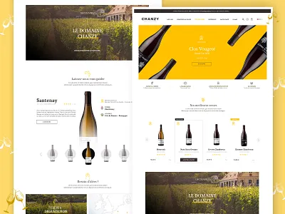 Design Chanzy - page accueil